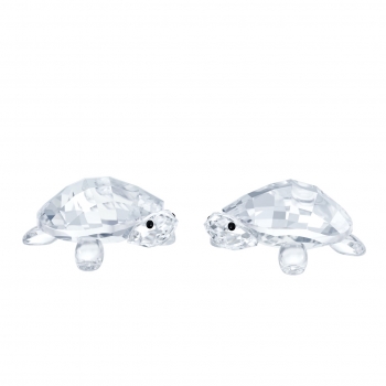 Swarovski 5394564 Tortoises Baby Kristallfigur Dekofigur Schildkröten